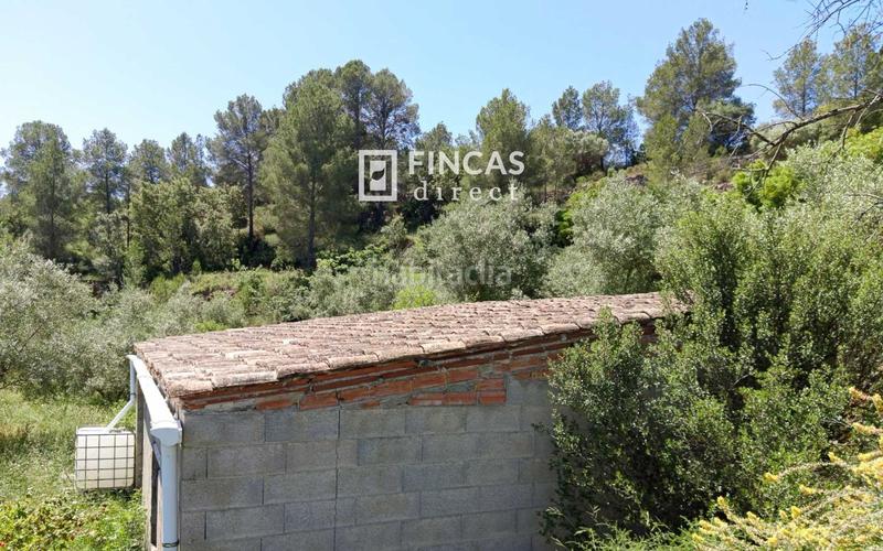 Foto dc425d73-cd3b-4c93-8832-7d8cdfd166c1. Masia a Benifallet