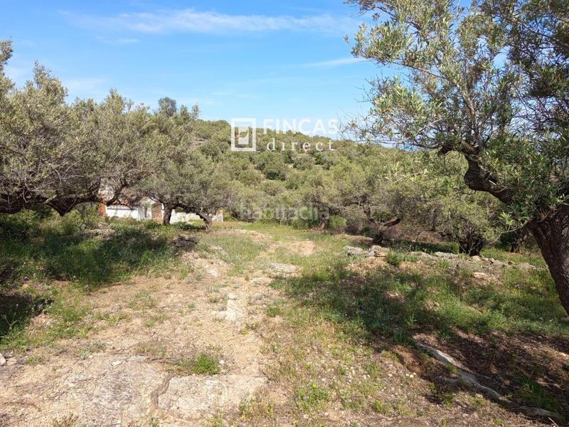 Foto 003cab76-bbc7-408c-b4af-a4f691094cd5. Casale in Urbanitzacions Tortosa