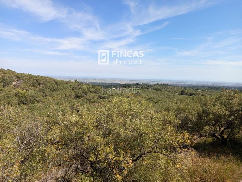 Foto 194946c4-5050-4043-b422-6036775f3edf. Casale in Urbanitzacions Tortosa