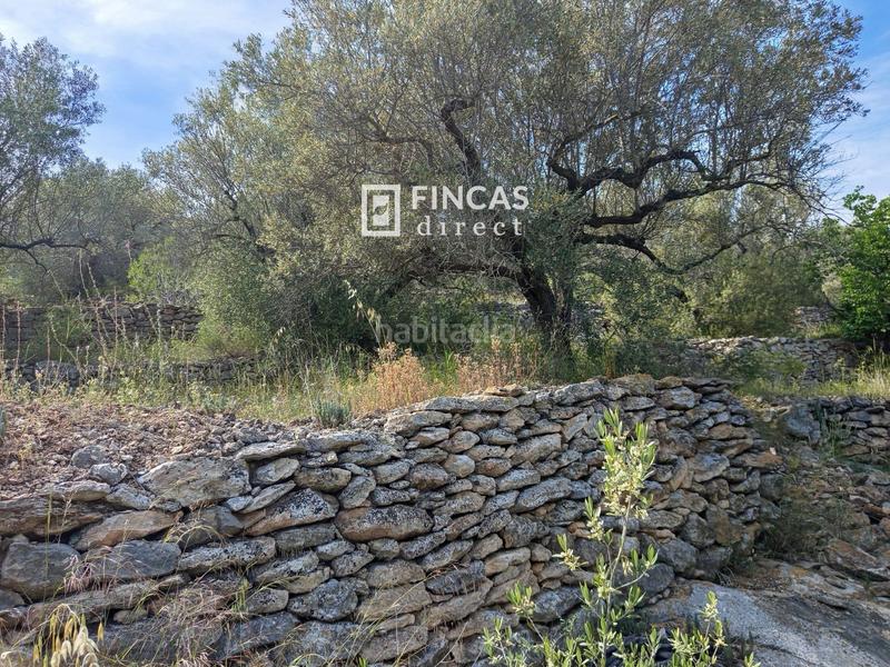 Foto 28d59591-ce2d-46c8-ac94-9d502e34ac84. Casale in Urbanitzacions Tortosa