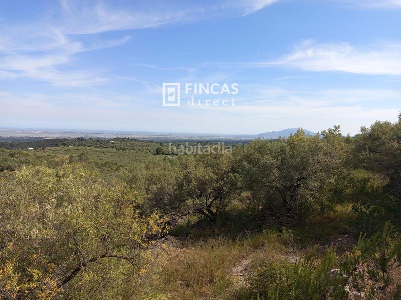 Foto 43cc572c-ad53-45b0-9fcf-080efa7caad7. Casale in Urbanitzacions Tortosa