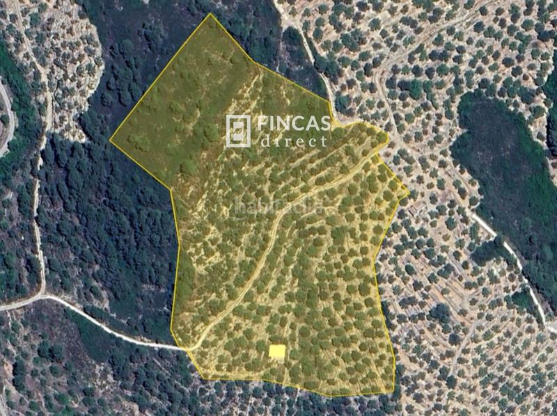 Foto 87c16482-2560-46f8-8d8d-290bce10842c. Casale in Urbanitzacions Tortosa