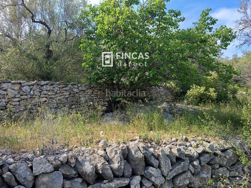 Foto 89c747f5-b2a3-42ab-a967-07b0672a765c. Casale in Urbanitzacions Tortosa