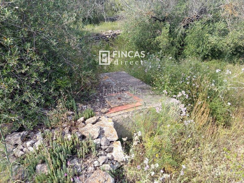 Foto d4f96bfc-37b0-4f01-beee-fc3a119da000. Casale in Urbanitzacions Tortosa