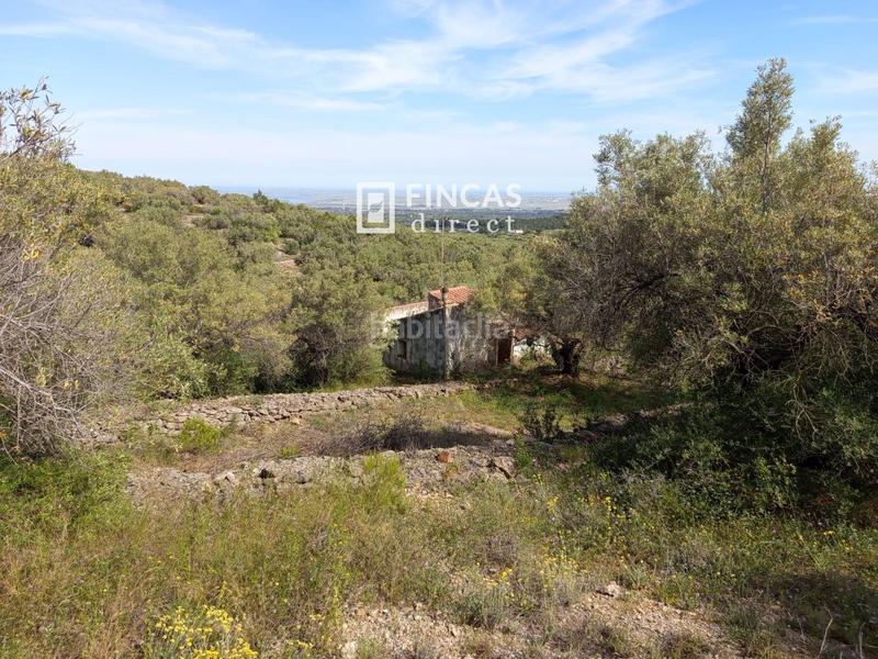 Foto eddf8a4f-b11f-49a6-976a-142aabf261bd. Casale in Urbanitzacions Tortosa