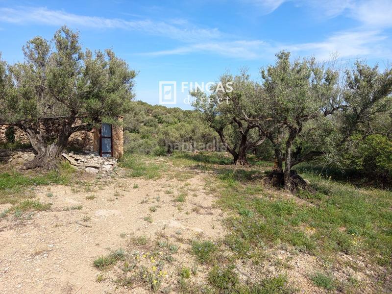 Foto fbba1c2e-ec74-40a4-93b8-27cb6c5b2f24. Casale in Urbanitzacions Tortosa