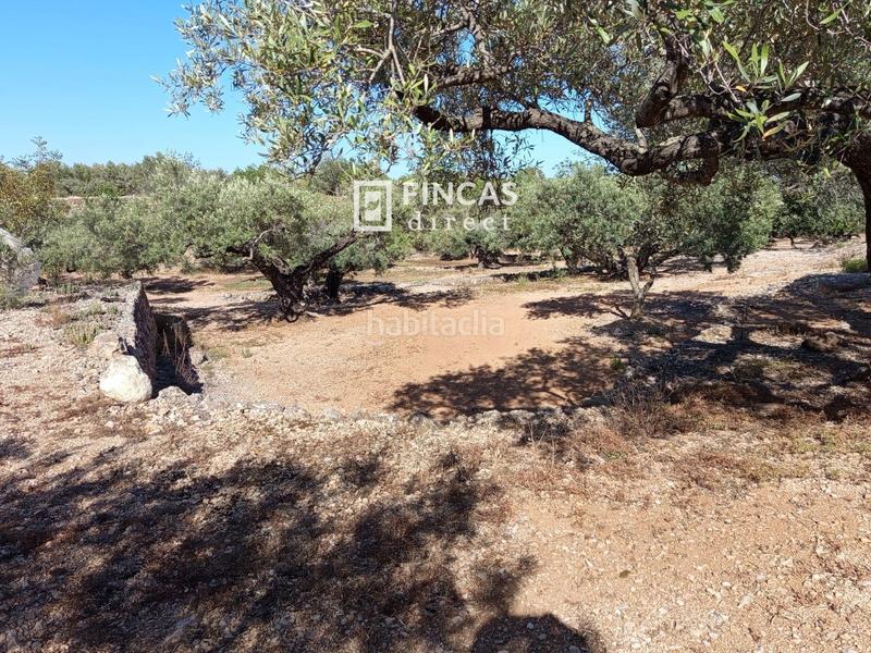 Foto 5634d385-cd57-4525-a6cd-436d23da35ef. Masía en lampolla en Ampolla (L´)