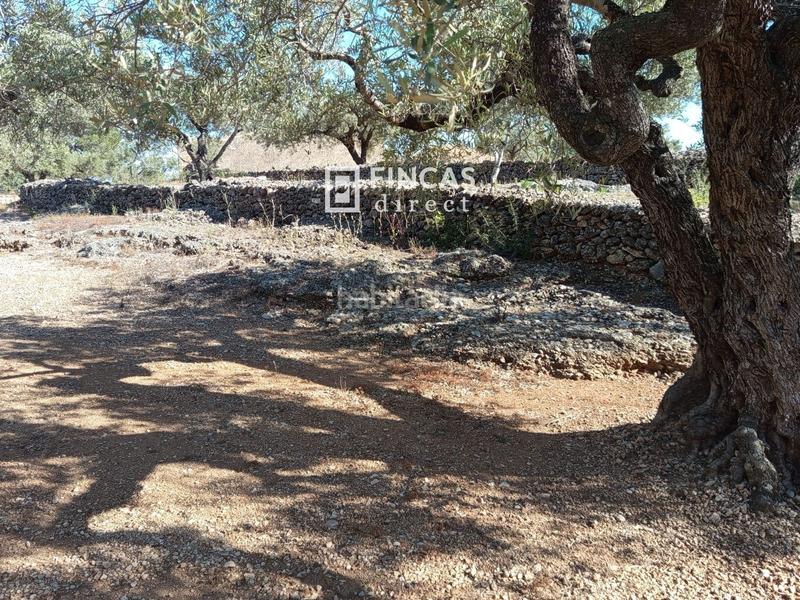 Foto b8e30809-5d9b-4a88-a308-020c12706017. Masía en lampolla en Ampolla (L´)