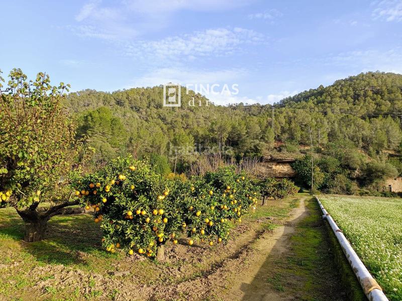 Foto 63899aaf-67d8-48f8-a641-2c59117d5596. Finca rústica en Miravet