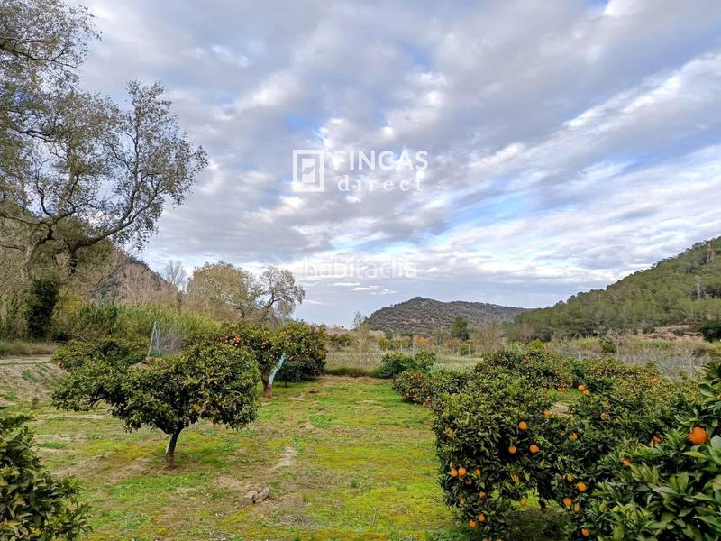 Foto 873531a5-2850-4fd1-9c70-7a470c313147. Finca rústica en Miravet