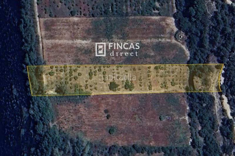 Foto a3805b32-95d9-4847-b0b5-bb7d19ad767a. Finca rústica en Miravet