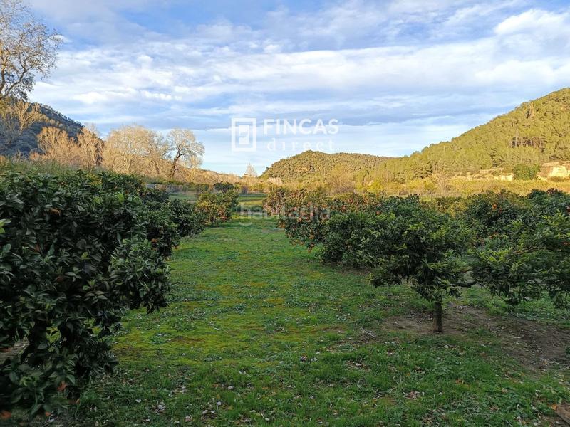 Foto c1d9f49f-077a-4fa2-8388-f67e5d576aeb. Finca rústica en Miravet