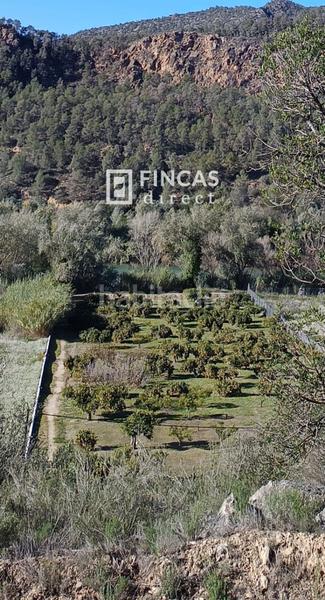 Foto f0f41ac6-094e-492c-a28d-5d84fc895890. Finca rústica en Miravet