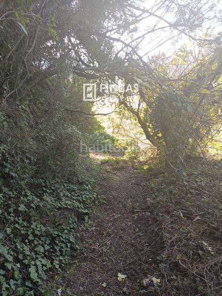 Foto fa6ac993-93ea-4e9b-bd35-34ce25c9cfec. Finca rústica en Miravet