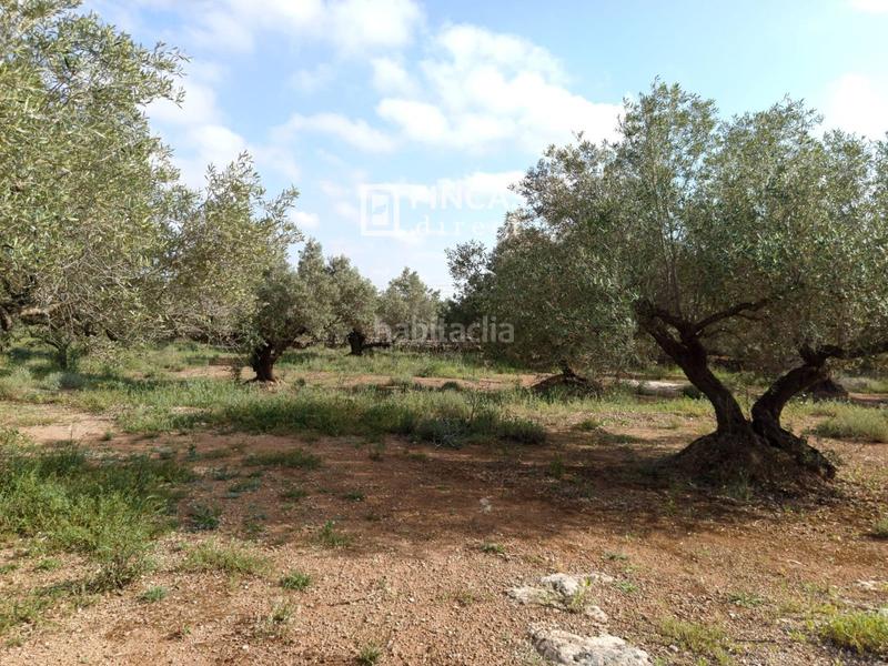 Foto 16281470-472a-499e-8b56-db10bba2067c. Casale con parcheggio in Camarles