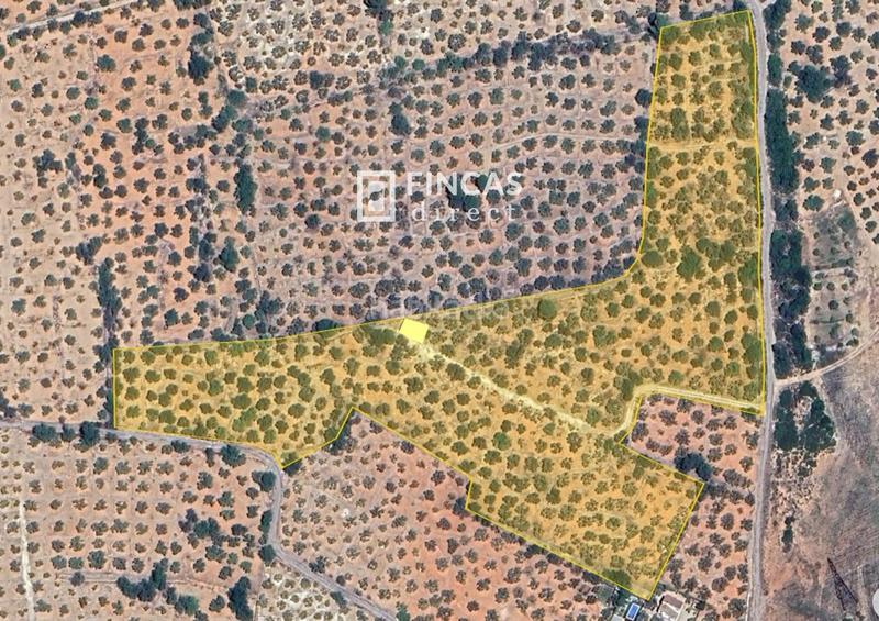 Foto 2778ef98-5d0a-48f2-89e3-47c548395001. Casale con parcheggio in Camarles