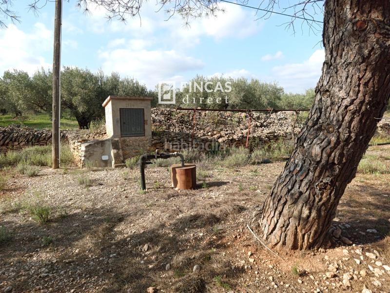 Foto 4b2dde51-1639-4cdb-b45d-a3a7c713a1b3. Casale con parcheggio in Camarles