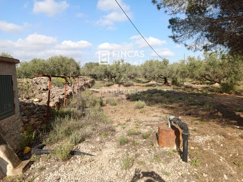 Foto 4f605e78-ca9d-4c66-b454-4add33b1f0a3. Casale con parcheggio in Camarles