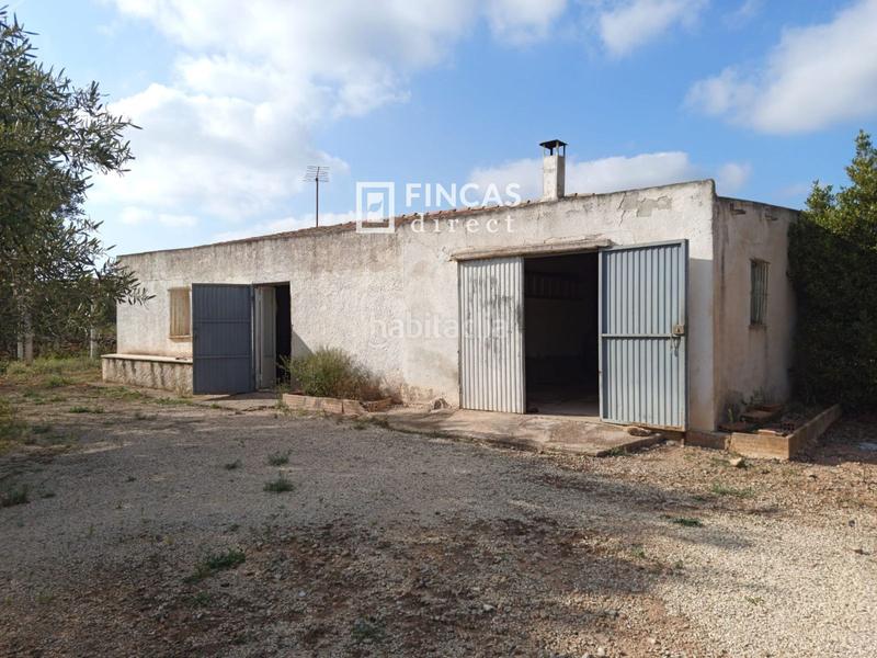 Foto 8b8216aa-e495-4f57-9899-e3087c7d94ae. Casale con parcheggio in Camarles