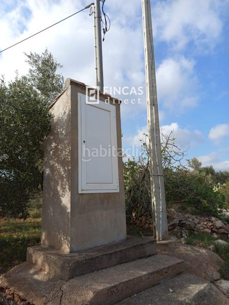 Foto ba6ca99d-504d-4455-aa94-0061c259abd7. Casale con parcheggio in Camarles