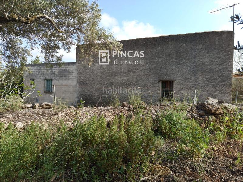 Foto e57bd164-1b07-4cdd-83eb-b0965f80a370. Casale con parcheggio in Camarles