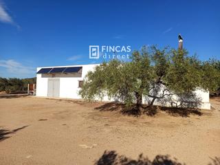 Masia  Qhqq+q6h. Finca con caseta equipada y olivos cerca de laldea