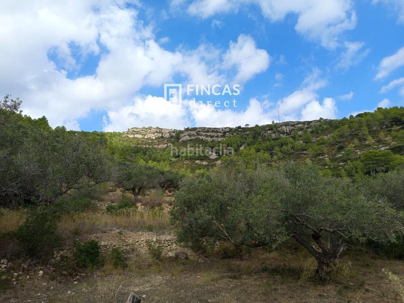 Foto 4f5fa01c-2f93-44fd-90f9-f62a5f537fb1. Mas dans Perelló (El)