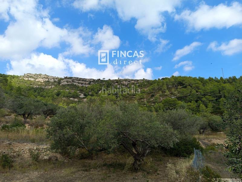 Foto 3240effe-b78b-4e0f-a038-7d0ea4b8a0a0. Masia a Perelló (El)