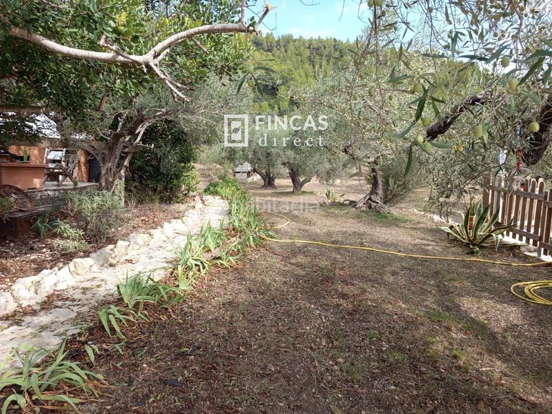 Foto 533abf1b-4cce-49c0-a1b6-0fed7b0e1ac1. Masia a Perelló (El)