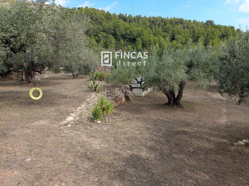 Foto 68222904-d831-4e6b-9dcf-2b55076e9927. Masia a Perelló (El)