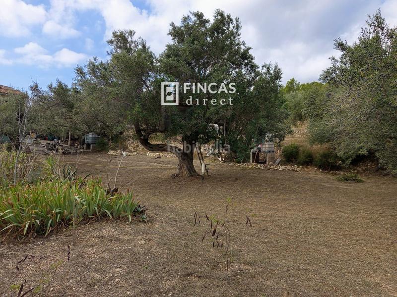 Foto 685bc9b7-a20a-4a9d-9a9c-c98d79ca6d06. Masia a Perelló (El)