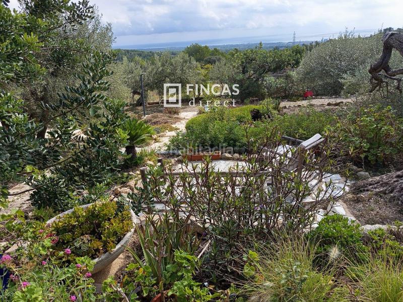 Foto 6af12d17-15a6-42c9-8035-554ac1e605f8. Masia a Perelló (El)