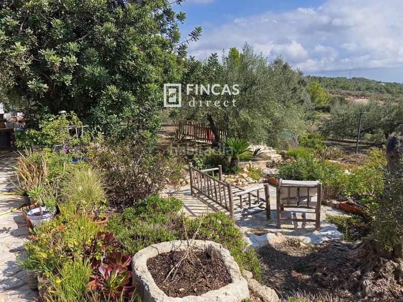 Foto 8541ed11-f8ea-420a-82c6-e9acd3fce3ca. Masia a Perelló (El)