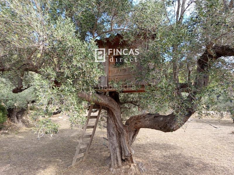 Foto 882c0381-3f93-42dd-9968-a5d94583e045. Masia a Perelló (El)