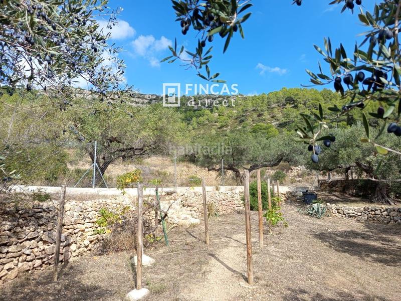 Foto c8d46a65-a899-4c16-bdb2-385b0efc5685. Masia a Perelló (El)