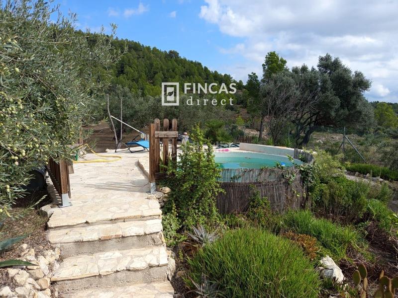 Foto e380653f-0a53-44ae-8819-dac53cc60b57. Masia a Perelló (El)