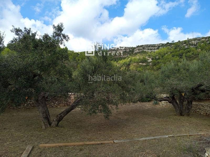 Foto e6f858b6-5d4c-4ad6-bbac-fbbeb6928dcf. Masia a Perelló (El)