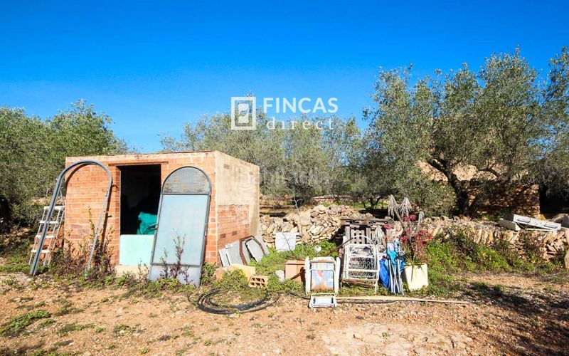 Foto 94352386-248a-406f-871e-66d2029f68b4. Masía en Camarles