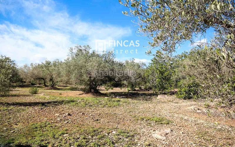 Foto b838a9a8-85b7-4c8f-b3a4-6775db2e4443. Masía en Camarles