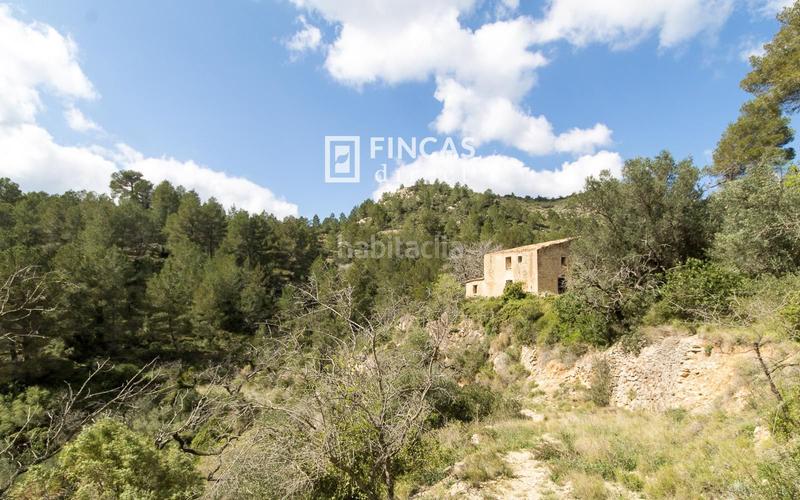 Foto 0f7af20f-aea6-435e-9f73-049ce3ee3b7c. Masia a Pratdip