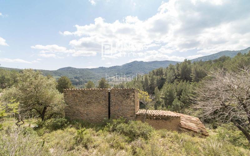 Foto 2139c6c1-9bed-4267-9b09-7dc410026850. Masia a Pratdip