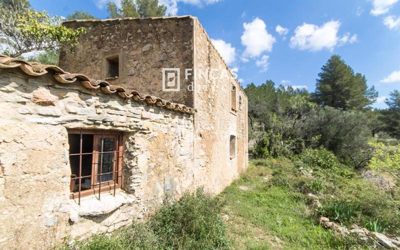 Foto 51e04387-51b3-4ee1-9815-cc795865de53. Masia a Pratdip