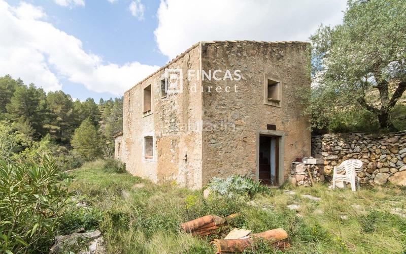 Foto 52184403-c01b-4c5e-8e6e-a25dc08505bc. Masia a Pratdip