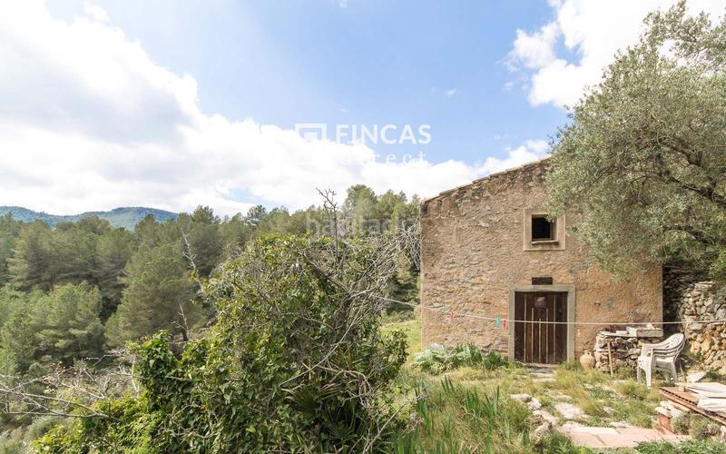 Foto 73a4fd8e-7e08-411d-95d3-879e322a28a3. Masia a Pratdip