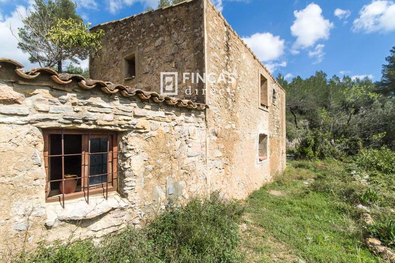 Foto a341df70-1ef9-430e-ba4a-8642592266c7. Masia a Pratdip