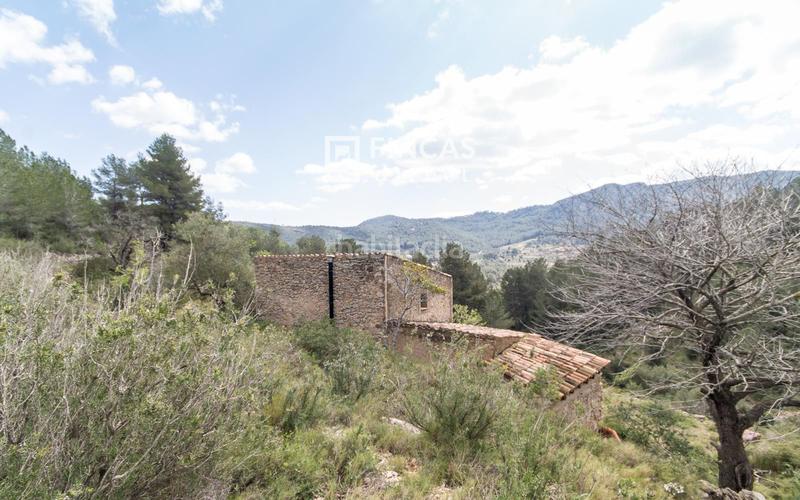 Foto f511aa2a-5b05-4633-a83a-65a99259ba3b. Masia a Pratdip