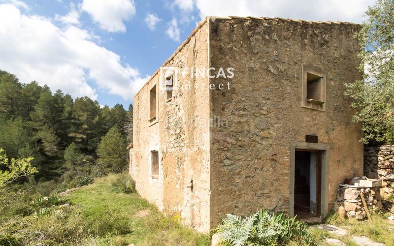 Foto f99479a5-c267-4fe9-8981-89ae69e1ab5c. Masia a Pratdip