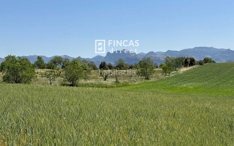 Foto 7b0fe29e-6c3d-4d1d-8c5d-8851a345aa4b. Masia amb piscina a Cretas