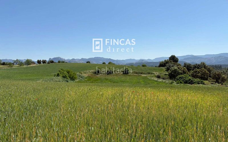 Foto b8ebecab-113a-4309-9cbb-e1e62640c531. Masia amb piscina a Cretas