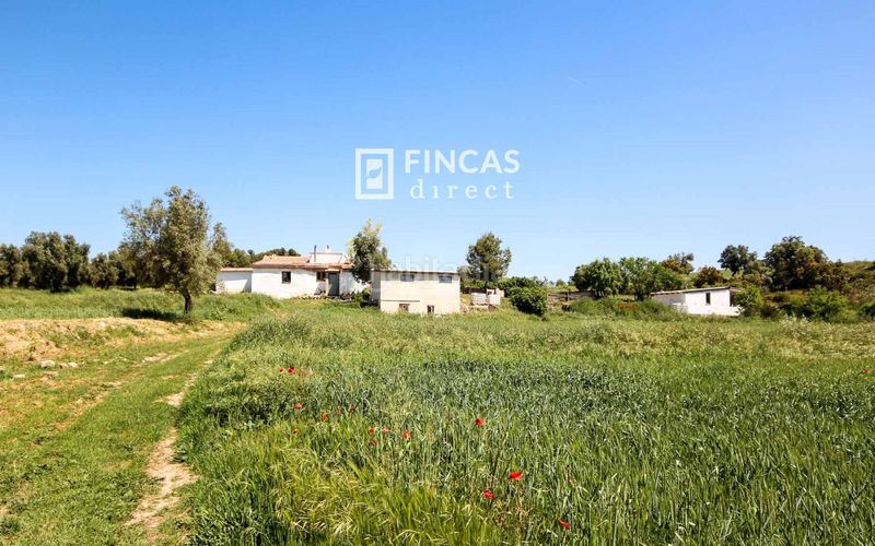 Foto f328e837-0530-447d-af4f-acbc7a70b14c. Masia amb piscina a Cretas